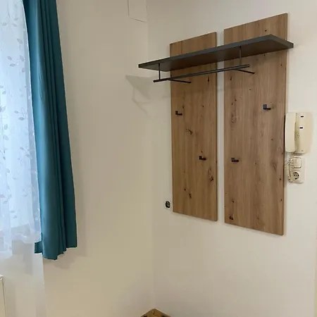 Apartment Traunkai - Zimnitz Blick *