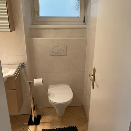 アパート Traunkai - Zimnitz Blick バート・イシュル