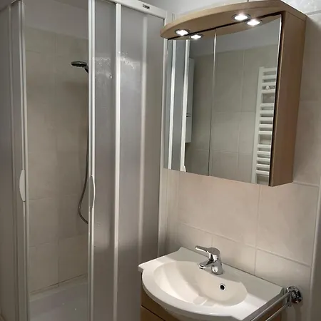 Traunkai - Zimnitz Blick バート・イシュル