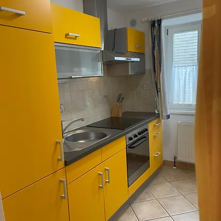 Traunkai - Zimnitz Blick バート・イシュル